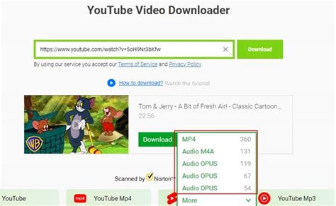 ssyoutube.com reviews|Mastering YouTube Downloads: A Step.